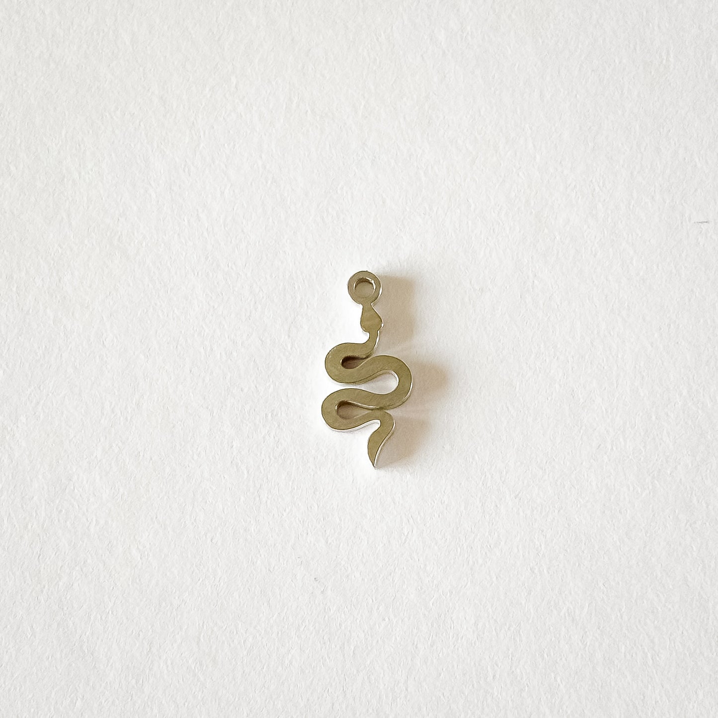 Boucles d’oreilles créoles Serpent - charms interchangeables