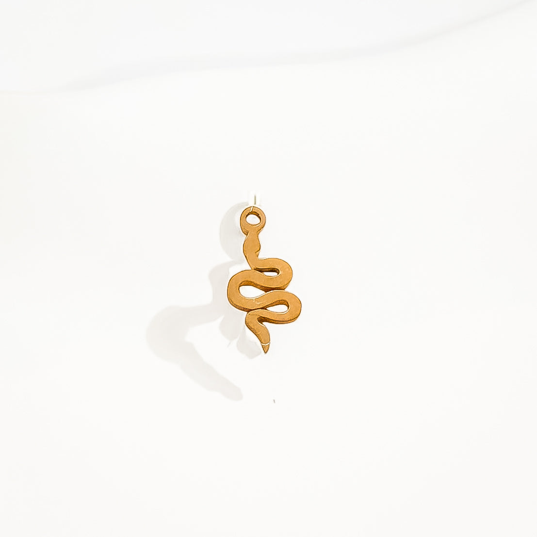 Boucles d’oreilles créoles Serpent - charms interchangeables