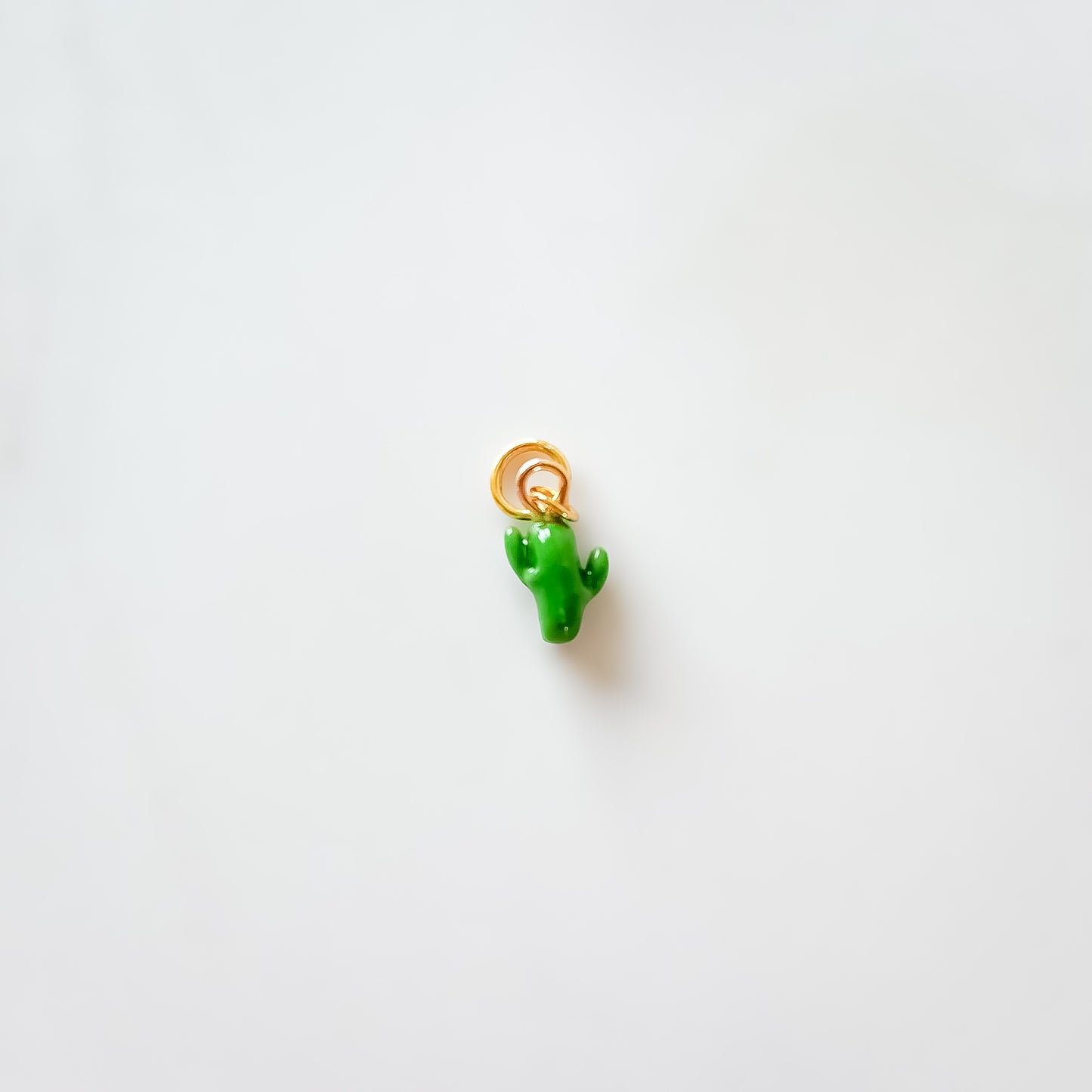 Charm Cactus