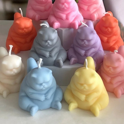 Photo de bougies chat grincheux en plusieurs coloris